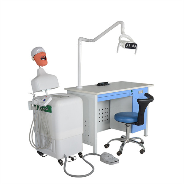 UMG-VI deux ensembles de système de pratique de simulation dentaire Memorial Position